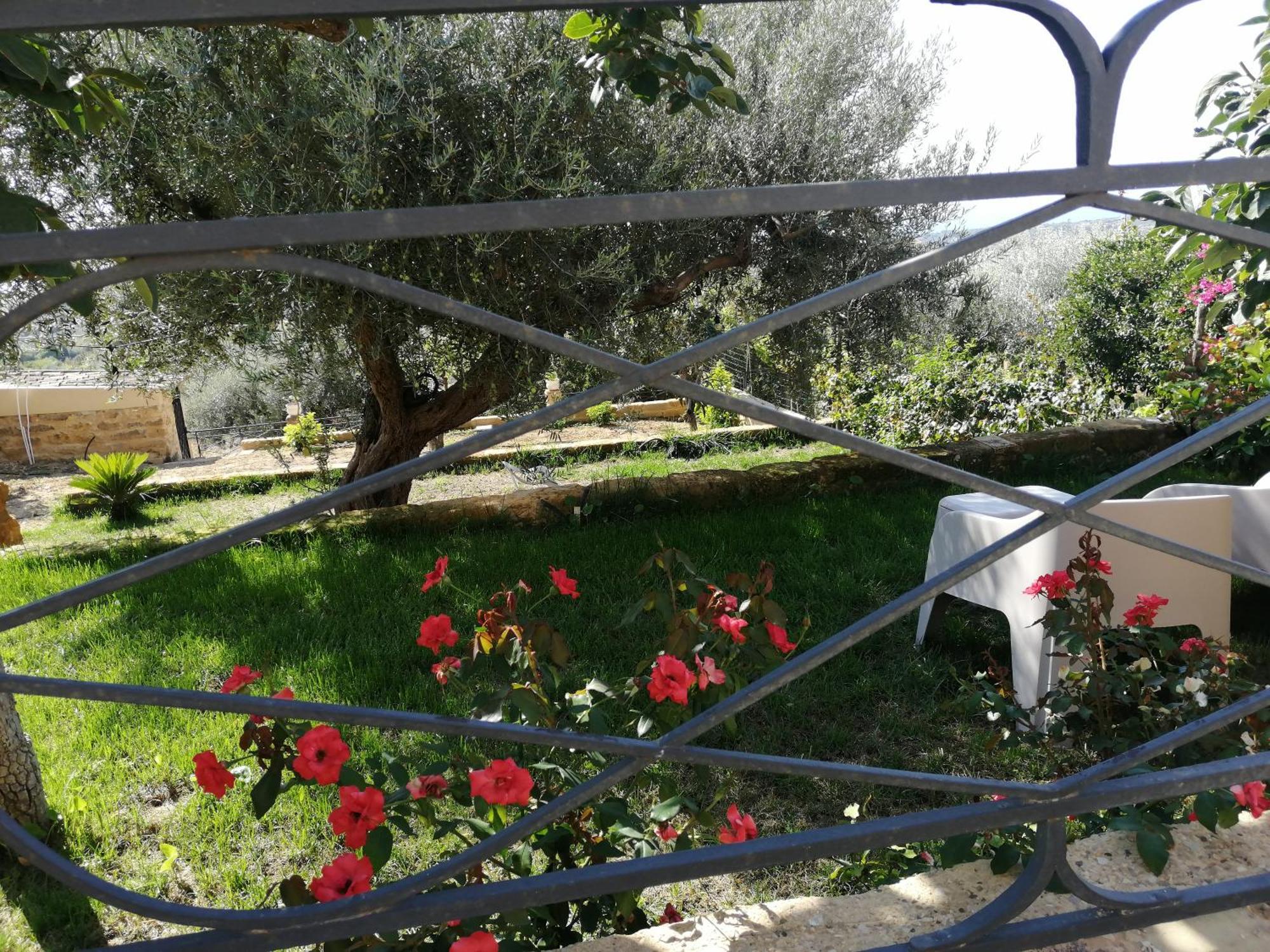 A Casa Di Mammi Nella Valle Dei Templi Agrigento Szoba fotó